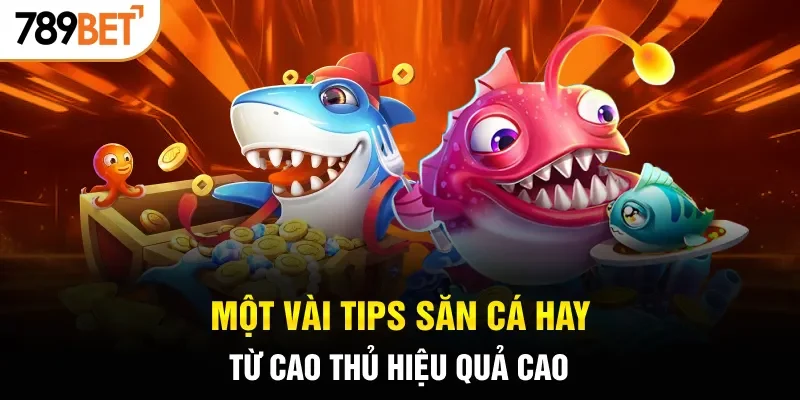 Một vài tips săn cá hay từ cao thủ hiệu quả cao